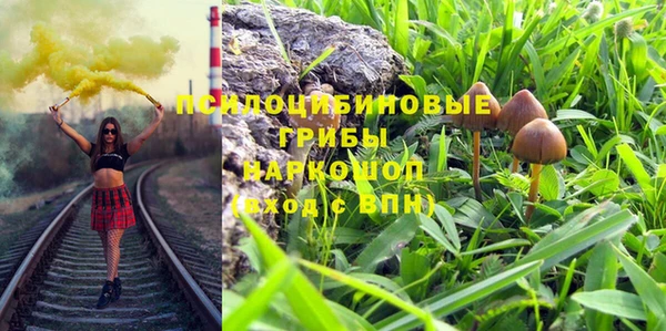 2c-b Слюдянка